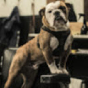 Meet your Posher, Jason